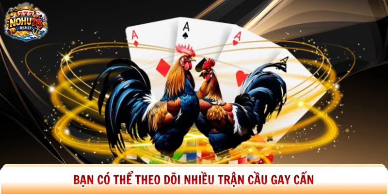 Bạn có thể theo dõi nhiều trận cầu gay cấn